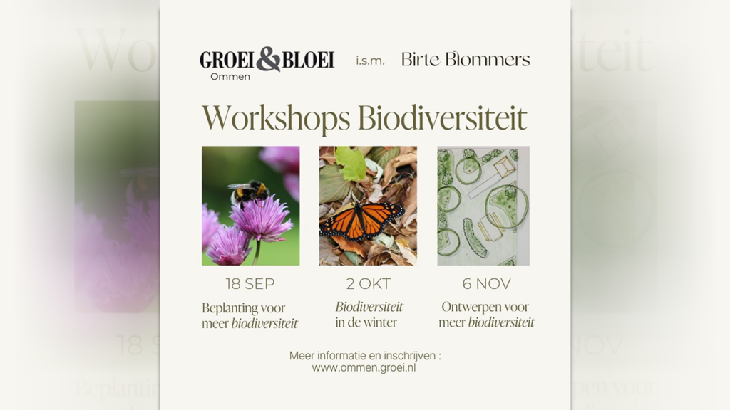 Workshops Biodiversiteit