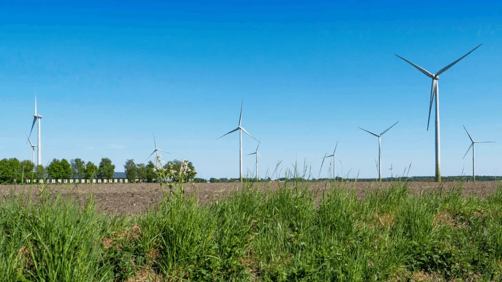 Stegeren blijft strijden tegen windmolens ondanks uitstel plannen