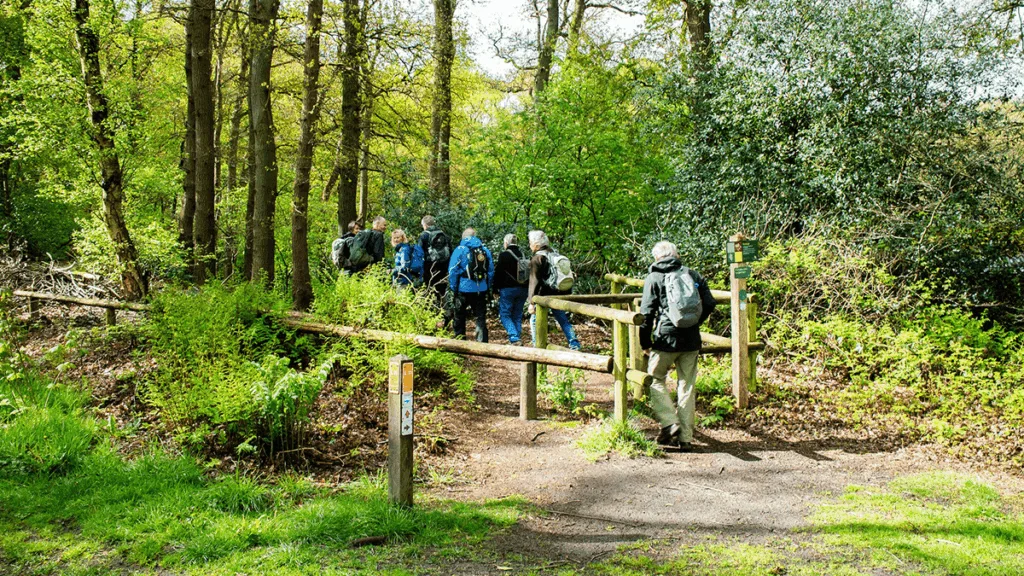Beerze en Junne Uitgeroepen tot Wandelroute van het Jaar
