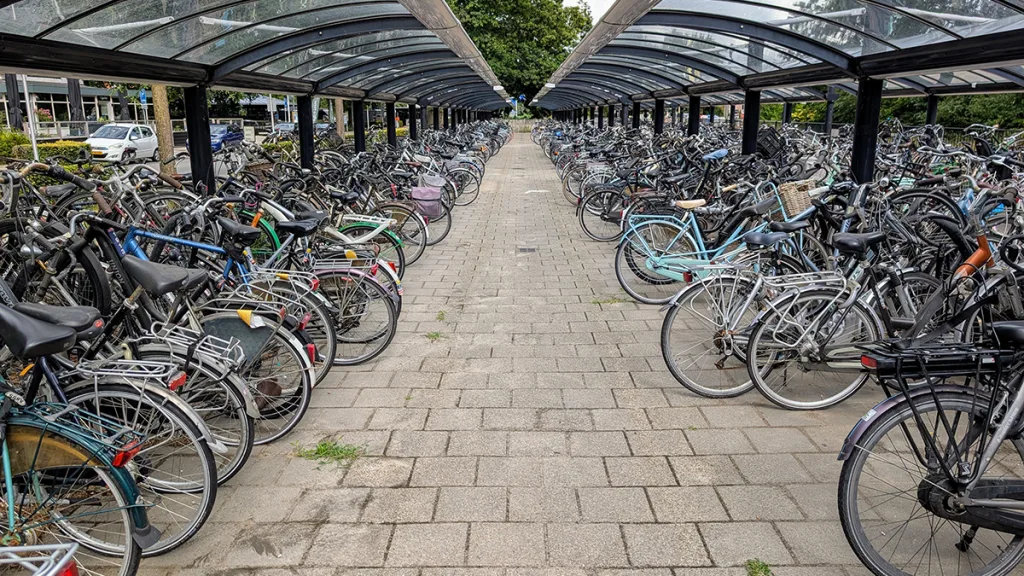 Politie pakt verdachten met fietsaccu’s op bij station Ommen