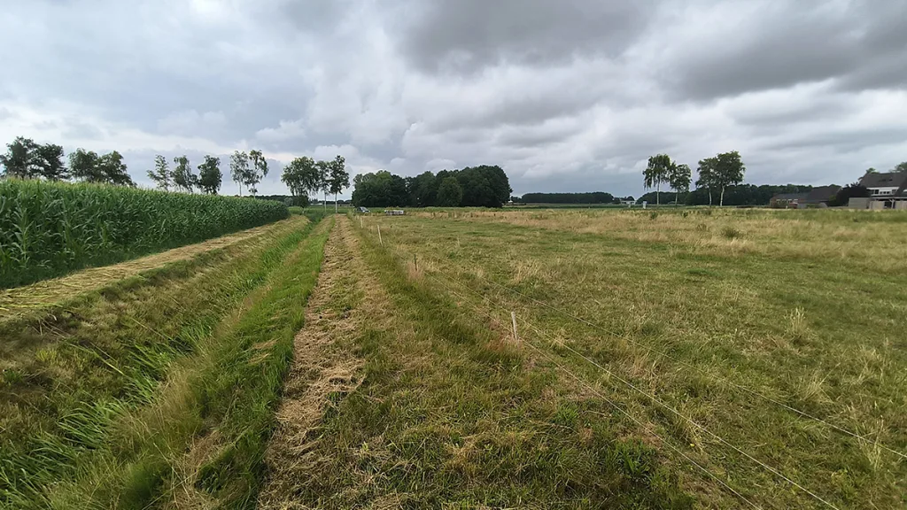 Goedkeuring voor 34 nieuwe woningen in Beerzerveld