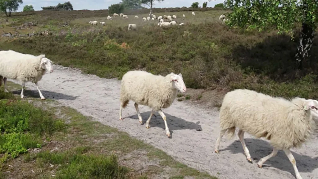 Provincie start natuurherstel Arri&euml;n: plannen ter inzage