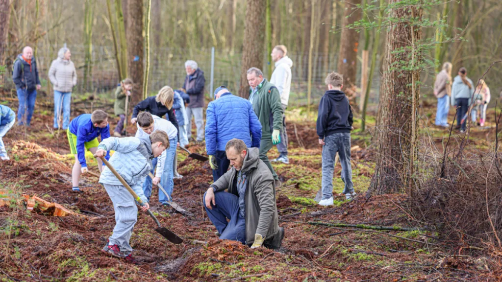 1.000 bomen geplant: Ommen kleurt groen op Boomfeestdag