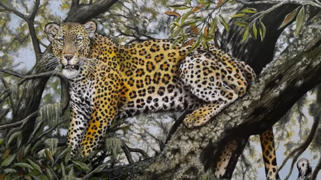 Expositie ‘Uit het Dierenrijk’ in Ommen